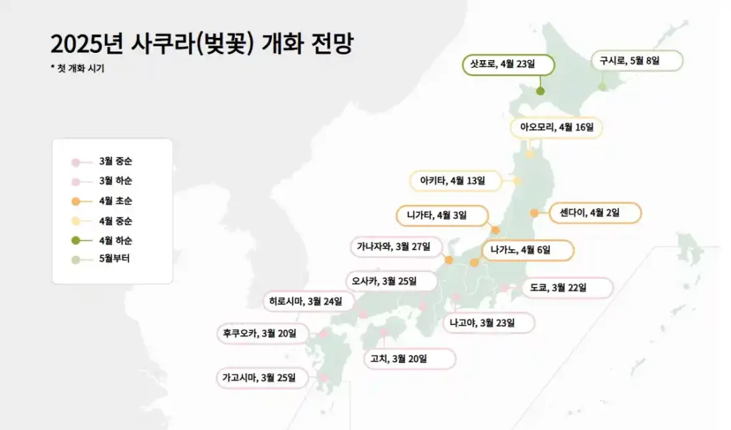일본의 봄 2025년 벚꽃 개화시기 이미지