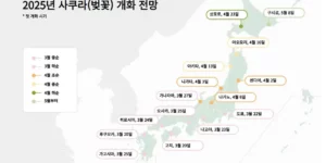 일본의 봄 2025년 벚꽃 개화시기 이미지