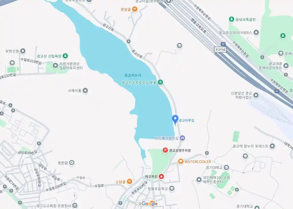 경기도 벚꽃 명소 8곳(수원 광교마루길) 지도 이미지(출처 구글지도)