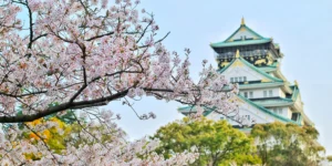 일본 오사카성 이미지