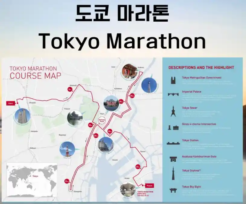 도쿄 마라톤 주요코스 일정 이미지
