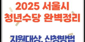 2025 서울 청년수당 완벽 정리(지원 대상, 사용처, 꼭 알아야 할 모든 것!)
