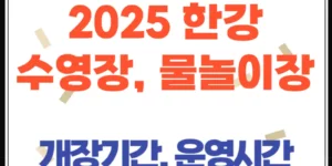 2025 한강 수영장·물놀이장 개장! 밤 10시까지 시원하게 즐기세요