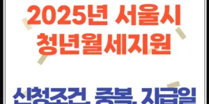 2025년 서울시 청년월세지원 신청(조건, 중복지원, 지급일 총정리)
