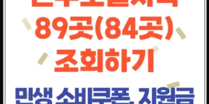 인구 소멸 지역 89곳 현황, 민생회복 소비쿠폰 2만원 추가지원