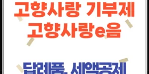 고향사랑기부제 완벽정리! 답례품, 세액공제, 지정기부 방법까지 한눈에