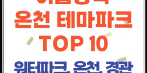 여름방학 가볼만한 곳! 전국 온천 테마파크 TOP 10 물놀이장 총정리