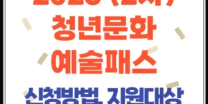 2025 청년문화예술패스 2차 발급, 문화비, 신청, 소득공제, 사용방법, 활용 꿀팁