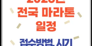 2026년 전국 마라톤 일정, 지금 접수 가능한 대회 한눈에